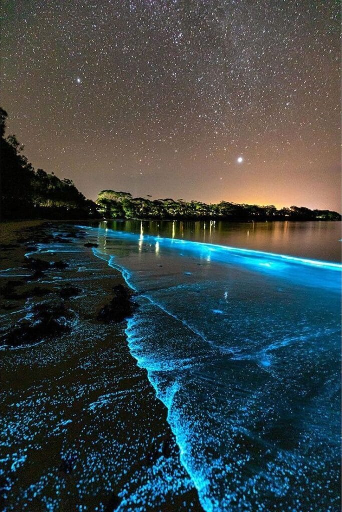 Fly Sydney to Maldives: Stunning Night View of a Maldives Beach with Glowing Blue Waters 