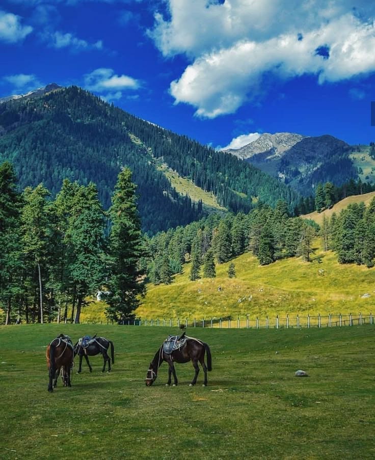 Breathtaking view of offbeat places in Kashmir showing lush valleys and snow-capped mountains