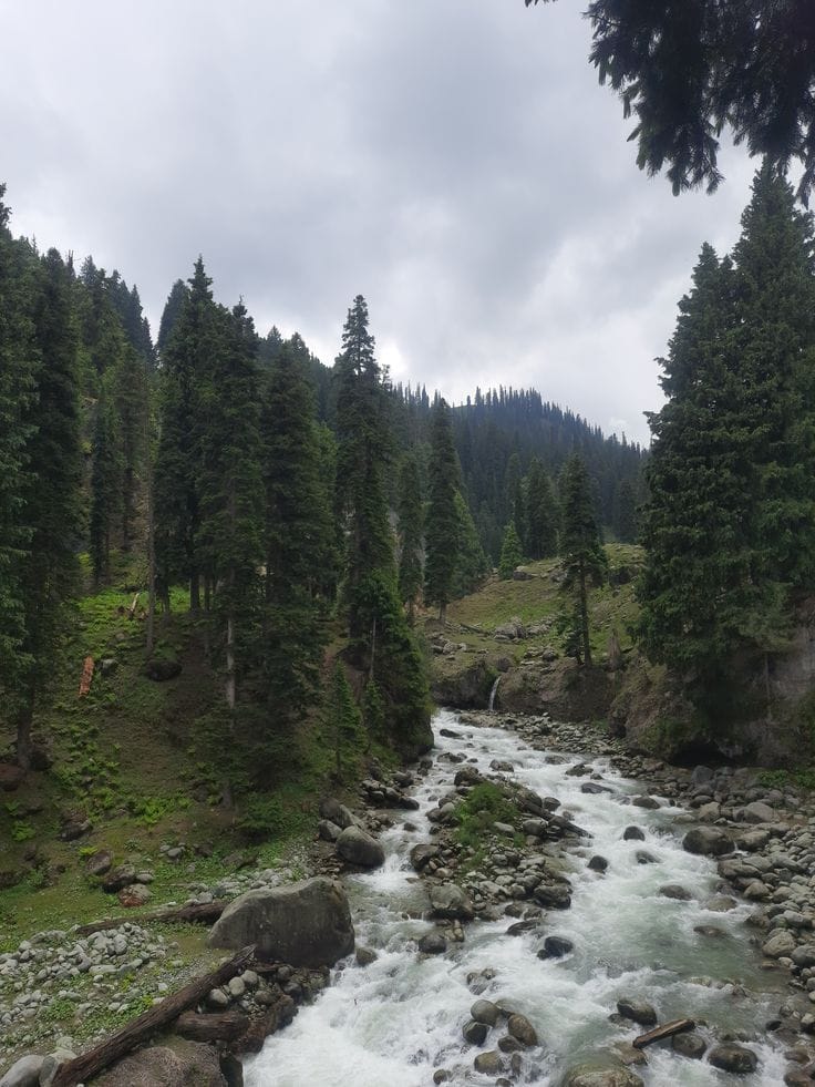 Tranquil stream flowing through green fields at Doodhpathri—one of the top offbeat places in Kashmir.